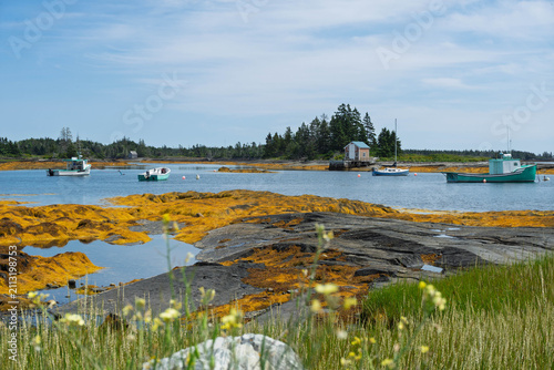 Cuadro en lienzo Blue Rocks, village de pêcheurs, Nouvelle Écosse, Canada