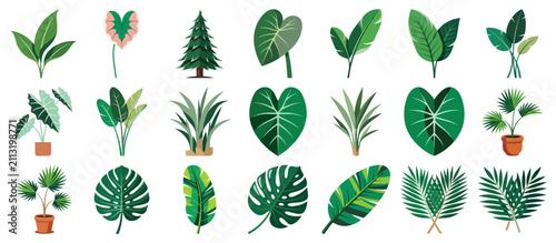 Foto Collection of vibrant green tropical and indoor houseplants in pots and from cut