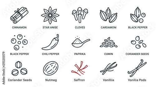 Quadro su tela Collection of various spice and herb illustrations.