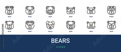 Photography Set of 12 outline web Bears icons such as bear, bear, bear, koala, panda vector