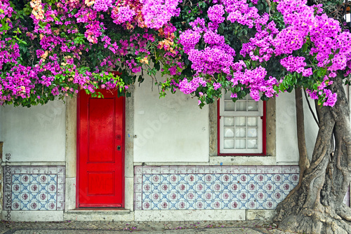 Traditional Portuguese House Facade With Red Door And Bougainvillea