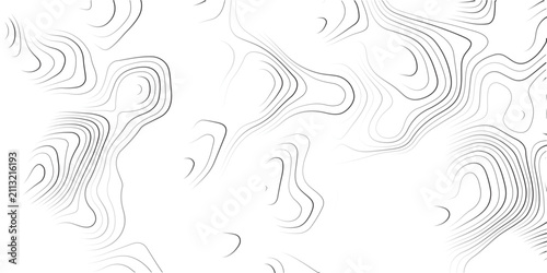 Fotografía Abstract black and white topographic lines creating intricate patterns on white