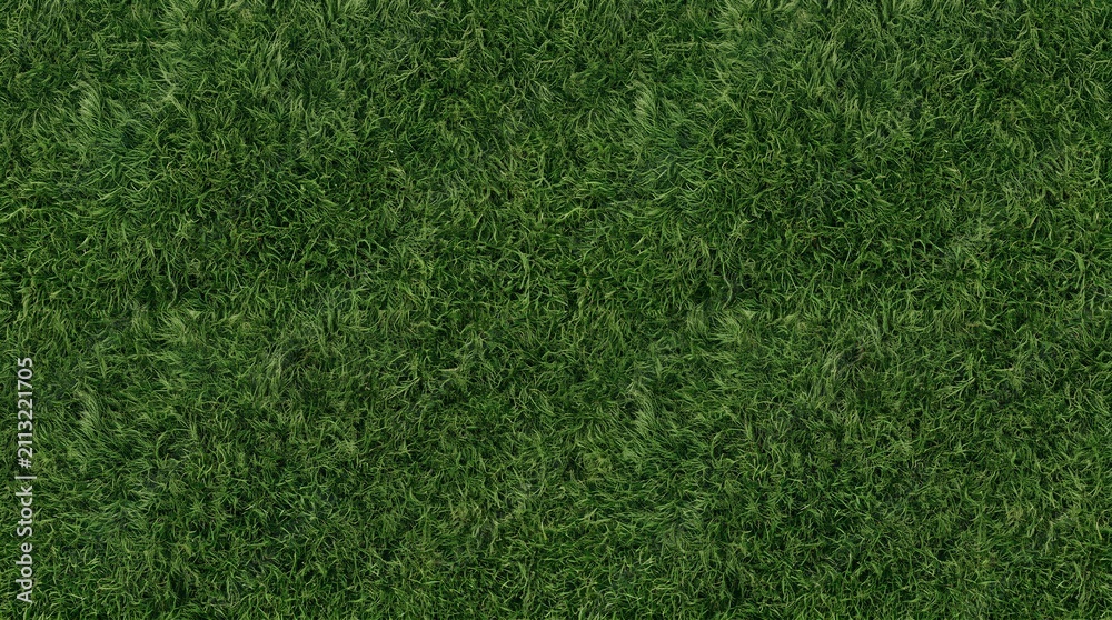 Fototapeta premium Green grass lawn texture background top view with background landscaping gardening backdrop environment botanical grassland landscape