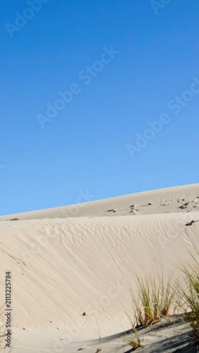 Sloping sand dune with sparse vegetation and blue sky.
