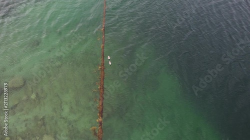 Two seagulls over a submerged boundary in clear blue water