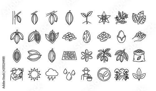 Cacao Bean Plant Continuous One Line Drawing Icon Set with Cocoa Pods and Botanical Elements