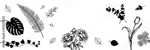 Botanical Illustrations Featuring Various Leaves and Flowers in Black and White Featuring Illustration, Plant, Nature with Fern