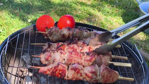 Barbecue Pork Skewers Cooking on Outdoor Grill in Summer Park