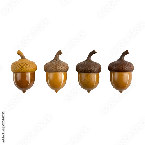 Set of four glossy stylized acorns isolated on black background