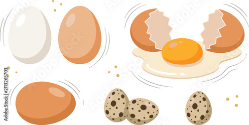 Foto Chicken and quail eggs vector illustration with raw broken eggshell and fresh yo