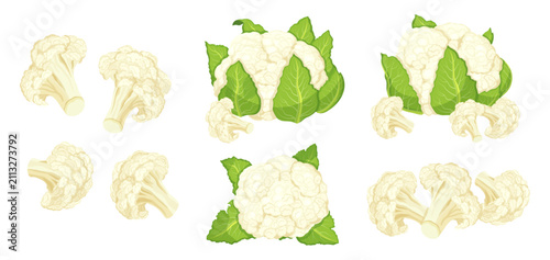 Set of cauliflower in cartoon style. Vector illustration of fresh, whole cauliflower, side view, top view, white inflorescences, green leaves, isolated on white background. Useful garden vegetables.