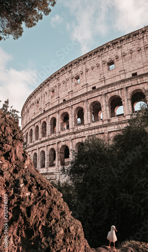 Colosseum, an iconic Roman amphitheater and UNESCO World Heritage site, standing as a symbol of historical architecture and ancient civilization in a unique perspective with a visiting seagull