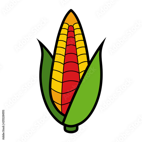 Foto One single ear of corn stands upright, kernels colored in yellow and red, encased in green husks on a white backdrop