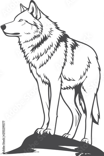 wolf in the snow
