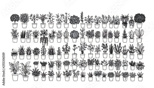 Collection of Potted Houseplants Illustrated in a Simple Line Art Style, Black and White Vector Graphic