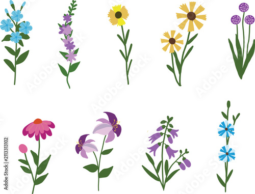 Cute Hand Drawn Flat Floral Elements and Botanical Wildflowers Set Vector