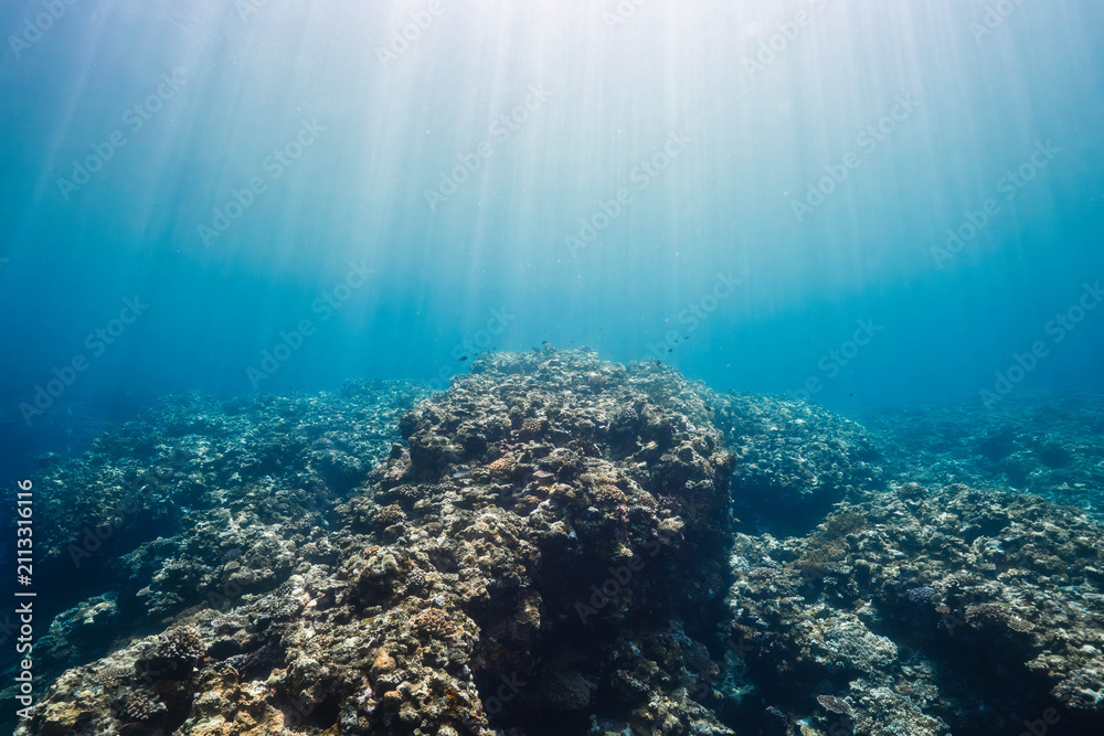 Obraz premium Sun Rays Illuminating a Tropical Coral Reef Under Crystal Clear Water