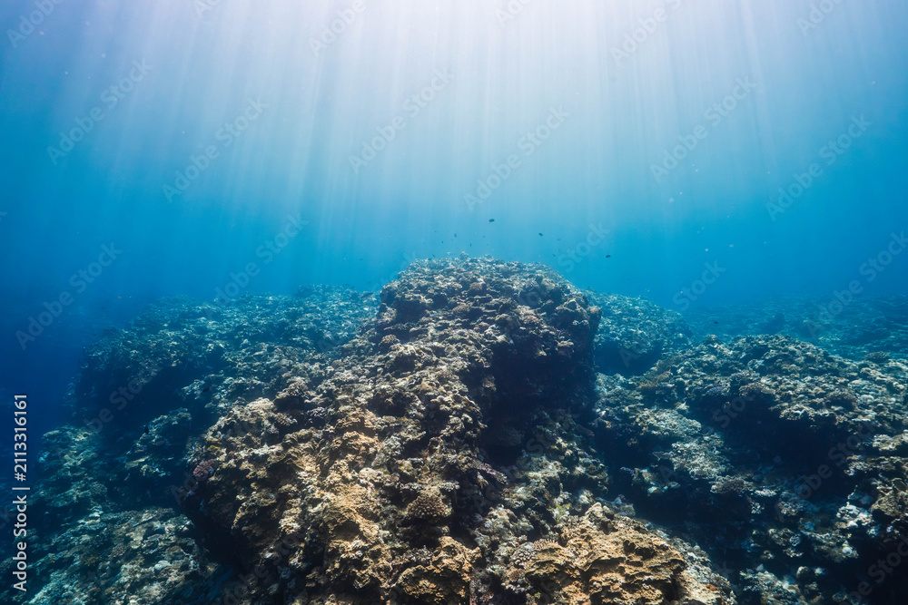 Obraz premium Sun Rays Illuminating a Tropical Coral Reef Under Crystal Clear Water