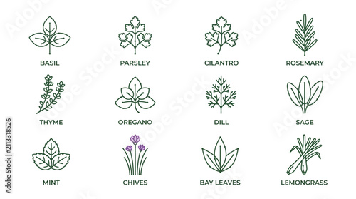 Foto Minimalist Line Art Collection of Herbs and Spices.