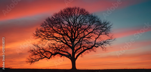 Golden Hour Landscape Featuring Lone Tree, Granite Island and Crystal Clear Lake PC wallpaper 4k
