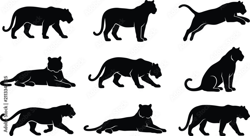Fototapeta premium Set of black silhouettes of panthers and leopards in various poses isolated on a white background