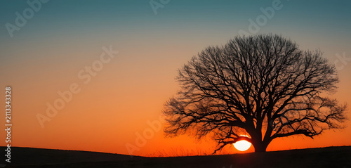 Stunning Sunset Over Turquoise Alpine Lake with Solitary Tree and Rocky Shore PC wallpaper 4k