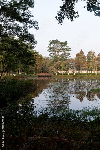 spring in the park