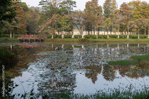 spring in the park