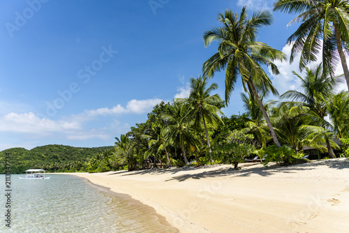 Tropical sand beach in the Philippines with palm trees as a perfect holiday getaway
