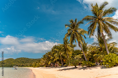 Tropical sand beach in the Philippines with palm trees as a perfect holiday getaway