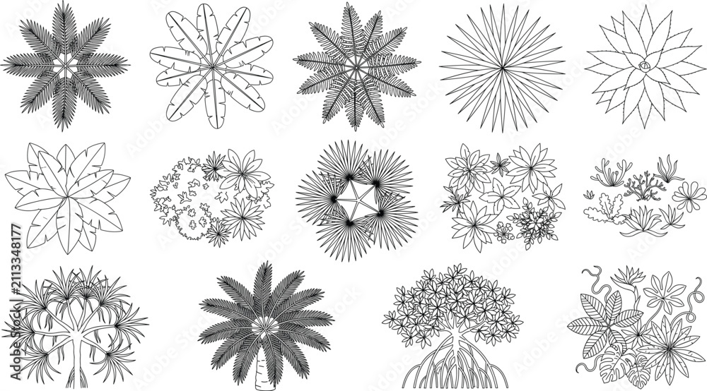 Obraz premium Hand Drawn Tropical Plant Top View Collection Vector Set with Botanical Landscape Plan Line Art Illustrations
