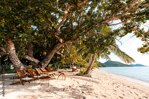 Tropical sand beach in the Philippines with palm trees as a perfect holiday getaway