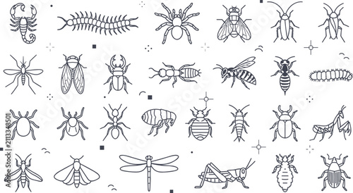 Common household insects and garden pests line icon set with spider scorpion cockroach mosquito bedbug ant wasp and beetle bug symbols for exterminator service.