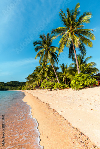 Tropical sand beach in the Philippines with palm trees as a perfect holiday getaway