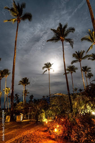 Night image of tall palm trees with full moon and orange lit sand beach in the Philippines