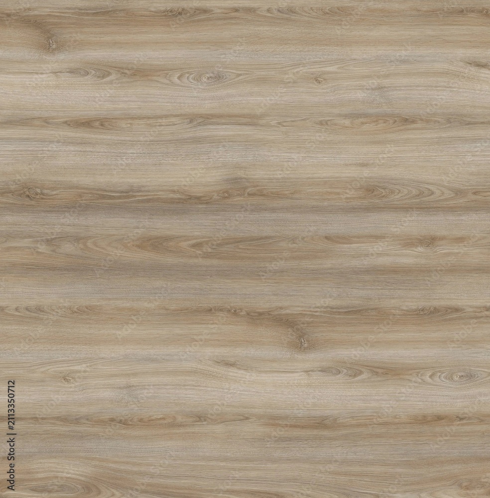 Fototapeta premium Light Grey Oak Wood Texture: Perfect Background for Modern Interior Design.