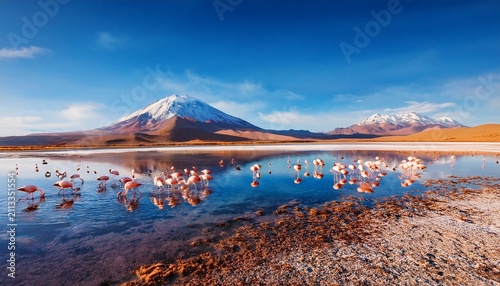 snowy licancabur volcano in andes montains reflecting in the wate of laguna chaxa with andean flamingos atacama salar landscape chile