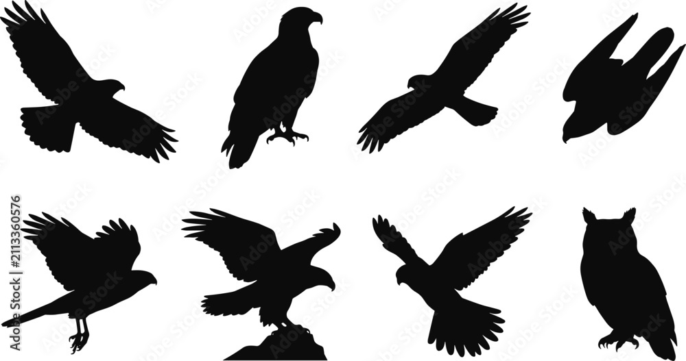 Fototapeta premium Bird of Prey Silhouette Collection with Eagles Hawks Falcons and Owl Vector Set