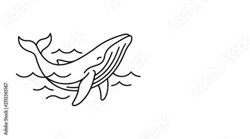 Simple line art illustration of a swimming whale.