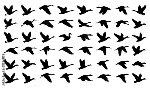 Fotografía Minimal Flying Migratory Birds Silhouette Bundle for Nature and Freedom Vector G