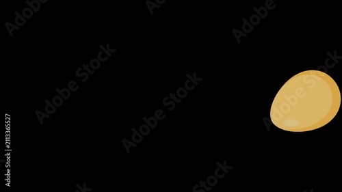 Isolated vector chicken egg rolling dynamic animation, black background.