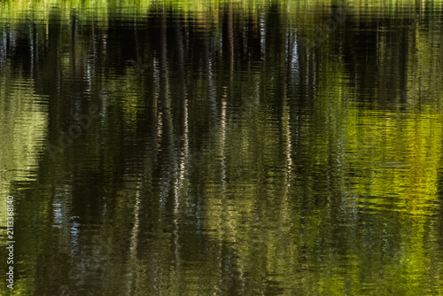 Tapety artystyczne Trees reflection in water.