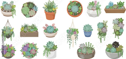 Obraz na płótnie Collection of various succulent plants in pots and hanging planters, illustrating different arrangements and types of desert flora