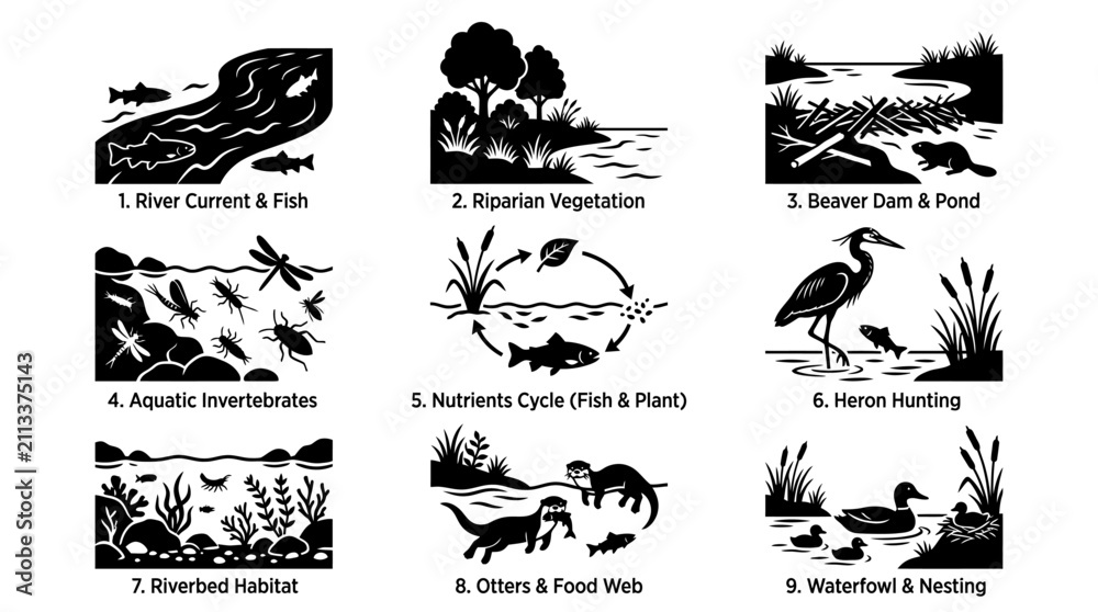 Obraz premium River Current and Fish.