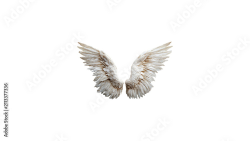 Konstfotografi White Angel Wings Isolated on White Background Feathered Wings Cutout for Digita