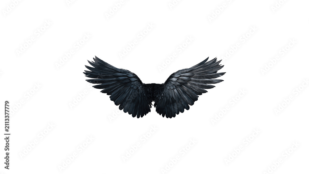 Fototapeta premium Black Crow Wings Isolated on White Background - Dark Fantasy Raven Feathers Cutout for Design