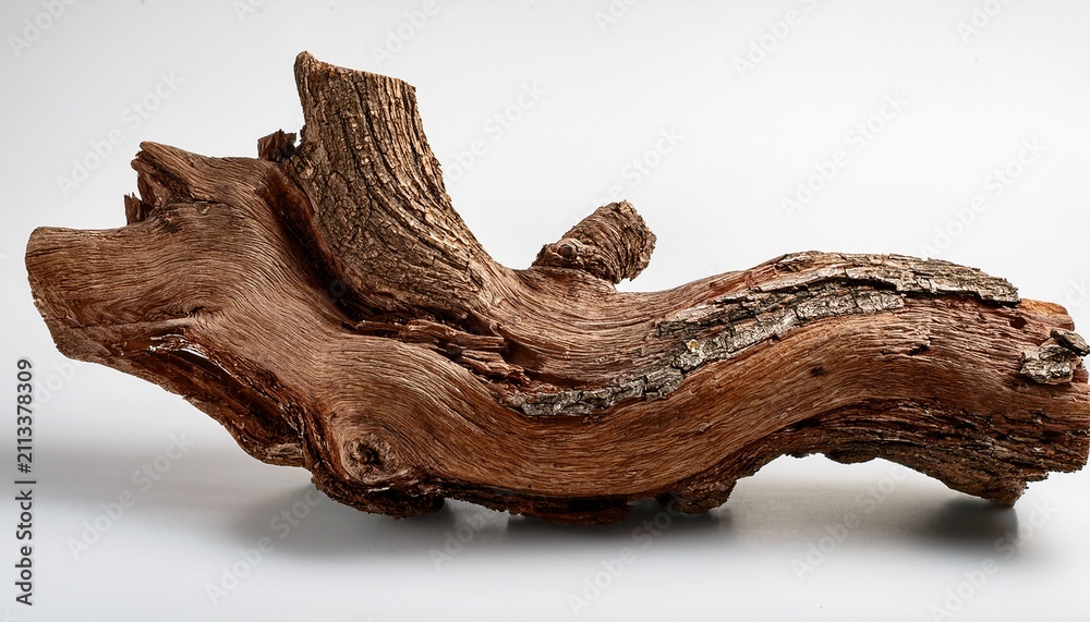Fototapeta premium isolated piece of bark or brown branch for natural decorations