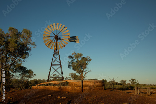 Old abandoned windmill and turkey nest
