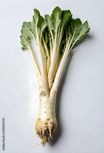 Fresh horseradish root with...
