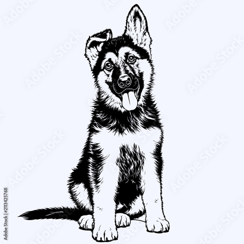 German Shepherd Puppy Sitting Vector Illustration Cute Dog Silhouette Detailed Canine Pet Portrait Isolated